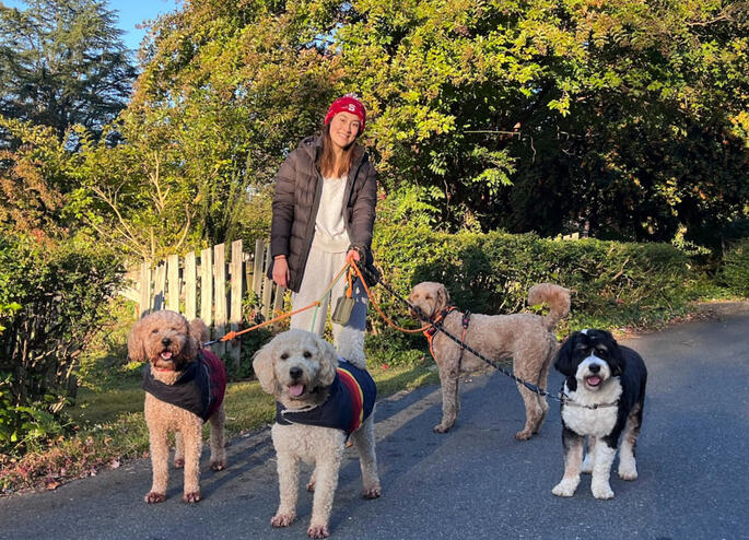 Izzy's Dog Care, Fall 2024